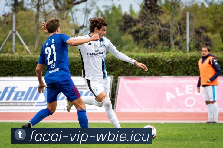 乐竞体育品牌故事