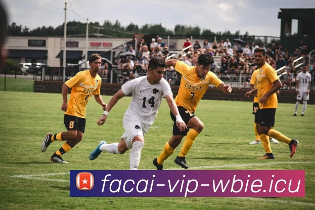 乐竞体育服务体系